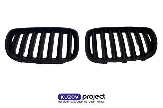 Решетка радиатора комплект BMW X5 2003-2006 (Тайвань)
